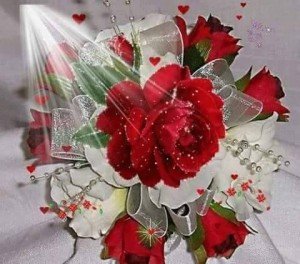 15202689_1864929320419949_3579052092902703237_n