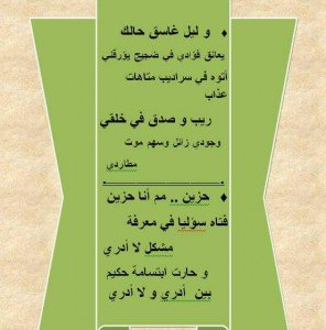 15319244_143955929419511_3562261532374608775_n-1