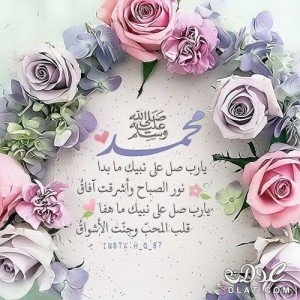 3dlat-net_25_16_d594_2fb9ed949b205